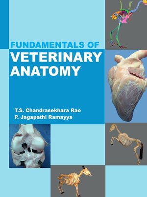 cover image of Fundamentals of Veterinary Anatomy